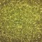 Glitr žluto-zelený 0,2 mm A0615