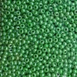 Rokail (rokajl)zelená/bílý listr, vel. 10/0 (2,3 mm) 