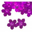 Flitry - květina s dírkou fialová 6778-022