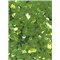 SLEVA 30% Flitry limetkově zelená, rovné 4 mm 6669-326
