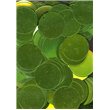 Flitry zelené limetkové, rovné 20 mm 6768-326