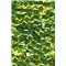 zelené flitry 6 mm čtvercové miska 20900-326 bal. 3 g (cca240ks)