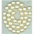Korálky, voskované perle, průměr 14 mm, světle krémové 