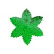 Flitry - zelená hvězda s dírkou 1433-164  vánoční hvězda 5 g