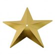 Flitry - zlatá hvězda s dírkou 329-196  hvězda 5 g
