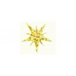 Flitry - hvězda zlatá laser 5677-183