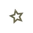 Flitry -  zlatá hvězda s dírkou 5719-196