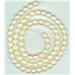 Korálky, voskované perle průměr 8 mm, světle krémové